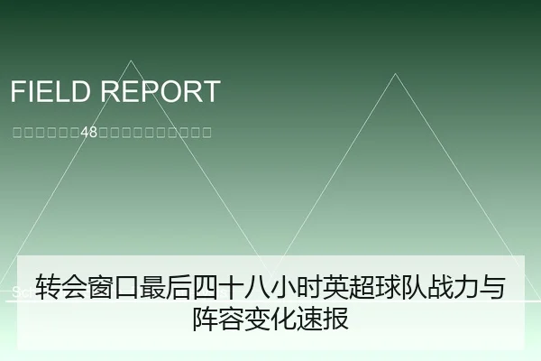 转会窗口最后四十八小时英超球队战力与阵容变化速报
